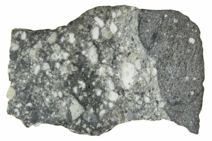 Polished Lunar Meteorite ( g) Slice - Aridal #360159